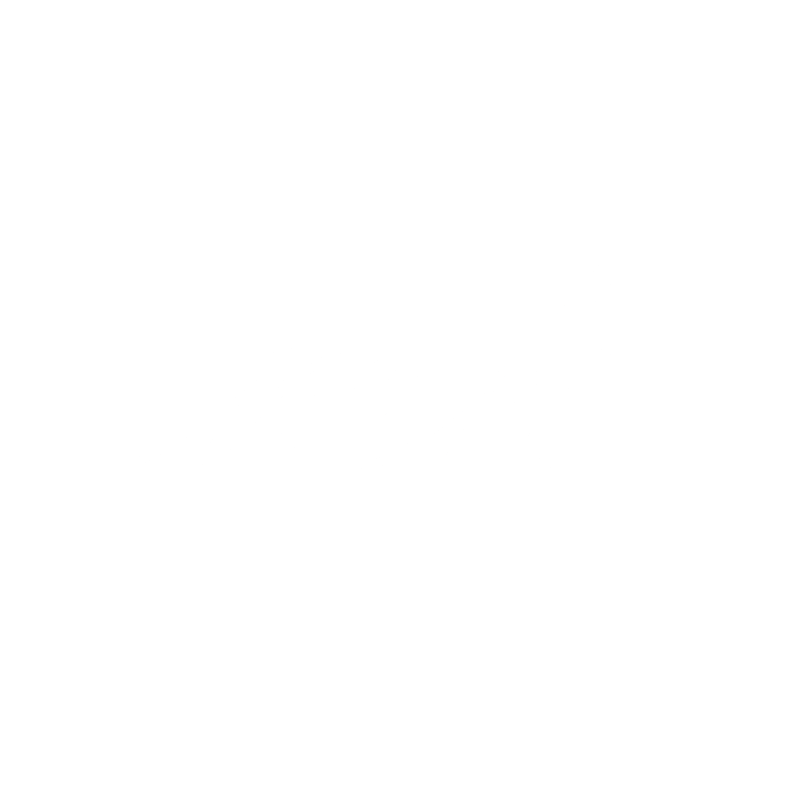 light logo